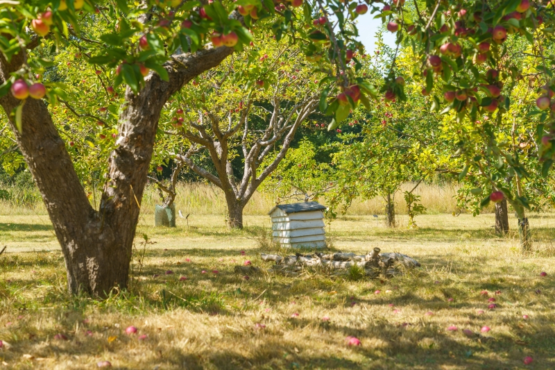 Wellcome Genome Campus